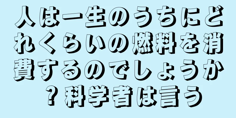 人は一生のうちにどれくらいの燃料を消費するのでしょうか？科学者は言う