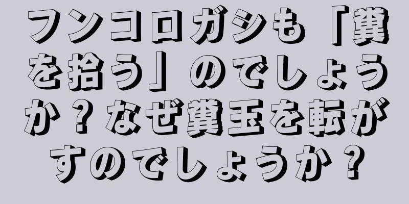 フンコロガシも「糞を拾う」のでしょうか？なぜ糞玉を転がすのでしょうか？