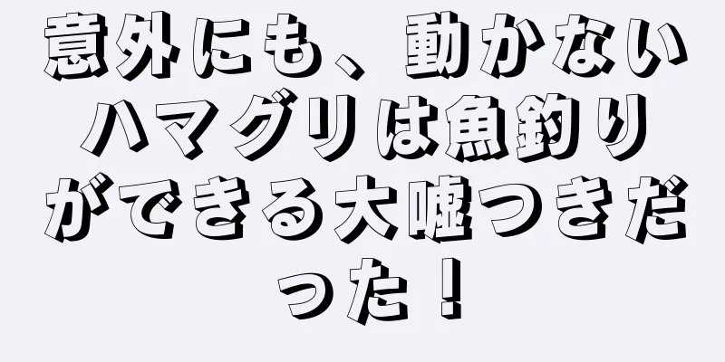意外にも、動かないハマグリは魚釣りができる大嘘つきだった！