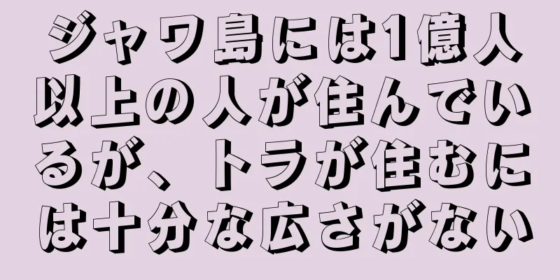 ジャワ島には1億人以上の人が住んでいるが、トラが住むには十分な広さがない
