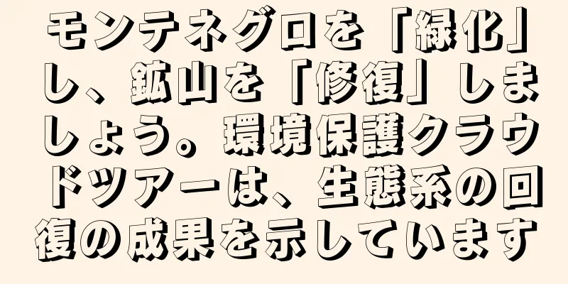 モンテネグロを「緑化」し、鉱山を「修復」しましょう。環境保護クラウドツアーは、生態系の回復の成果を示しています