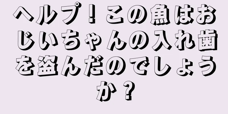 ヘルプ！この魚はおじいちゃんの入れ歯を盗んだのでしょうか？