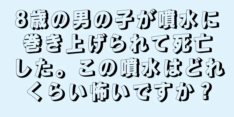 8歳の男の子が噴水に巻き上げられて死亡した。この噴水はどれくらい怖いですか？